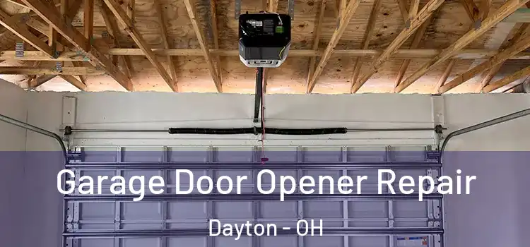  Garage Door Opener Repair Dayton - OH