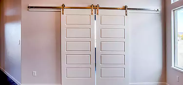 Glass Barn Door with Installation Hardware Kit Dayton