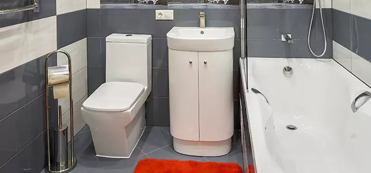Hansgrohe Shaving Mirror Dayton