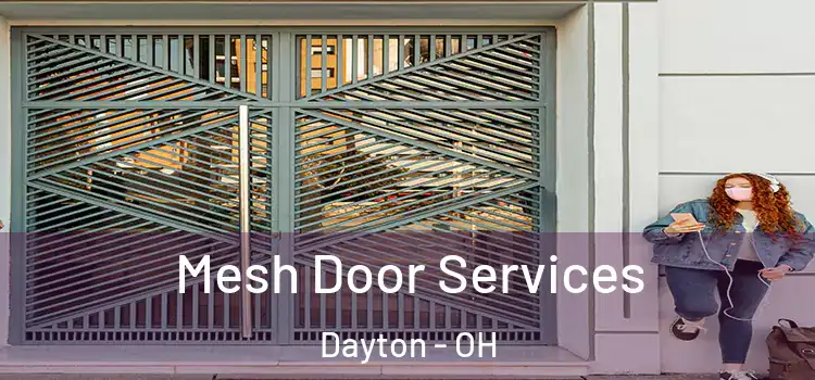 Mesh Door Services Dayton - OH