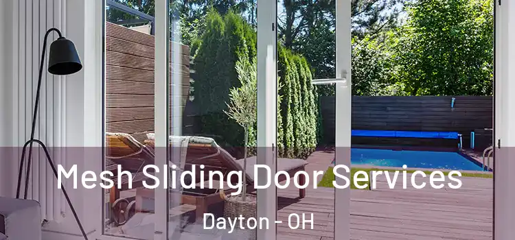  Mesh Sliding Door Services Dayton - OH